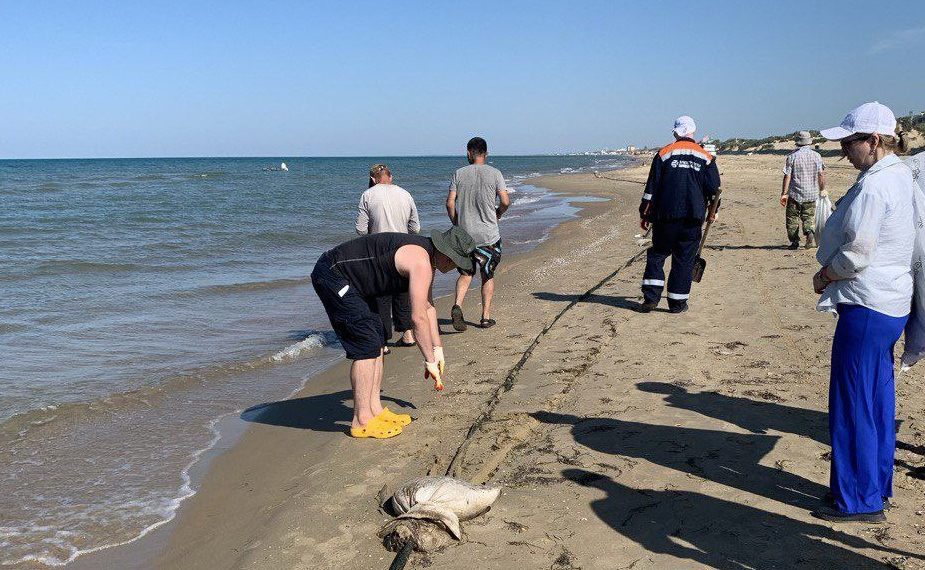 В Анапе за пять дней не нашли новых выбросов мазута