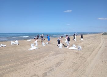 На Кубани собрали 165,8 тысячи тонн загрязненного песка, грунта и гальки