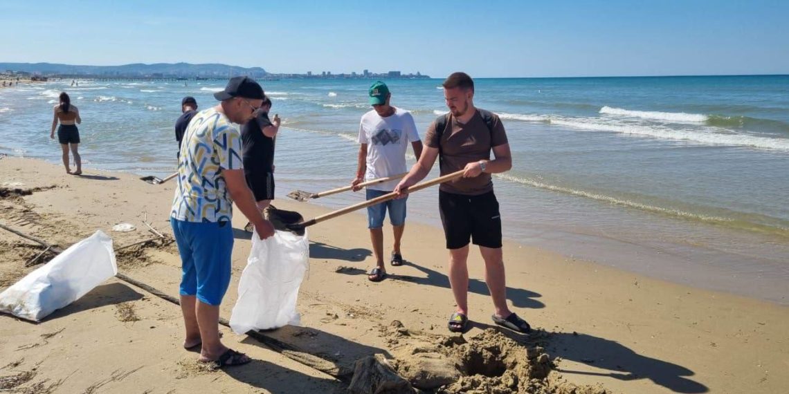 На Кубани собрали 175 тысяч тонн загрязненного песка, грунта и гальки