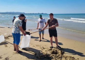 На Кубани собрали 175 тысяч тонн загрязненного песка, грунта и гальки