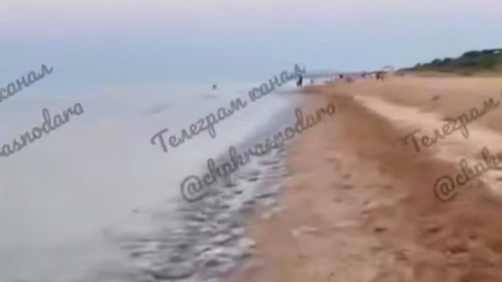 Жители Кубани жалуются на обилие медуз в Азовском море