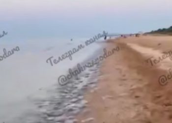 Жители Кубани жалуются на обилие медуз в Азовском море