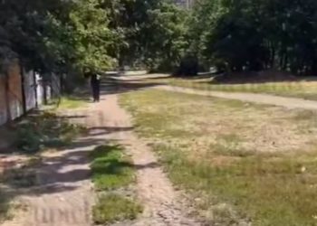 В Краснодаре мужчина показывал гениталии женщинам и детям