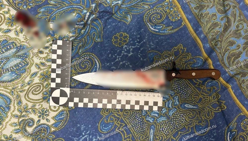 В Краснодаре 26-летний парень зарезал свою бабушку