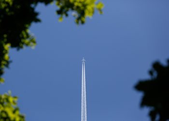 Пассажиры из Иркутска не попали на рейс в Сочи из-за перебронирования