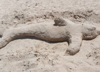 Удивительный прогноз погоды на пятницу и субботу 11 и 12 июля для Кубани