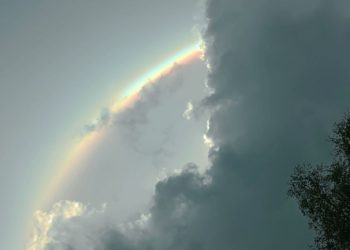 Погода на неделю с 14 по 20 июля на Кубани