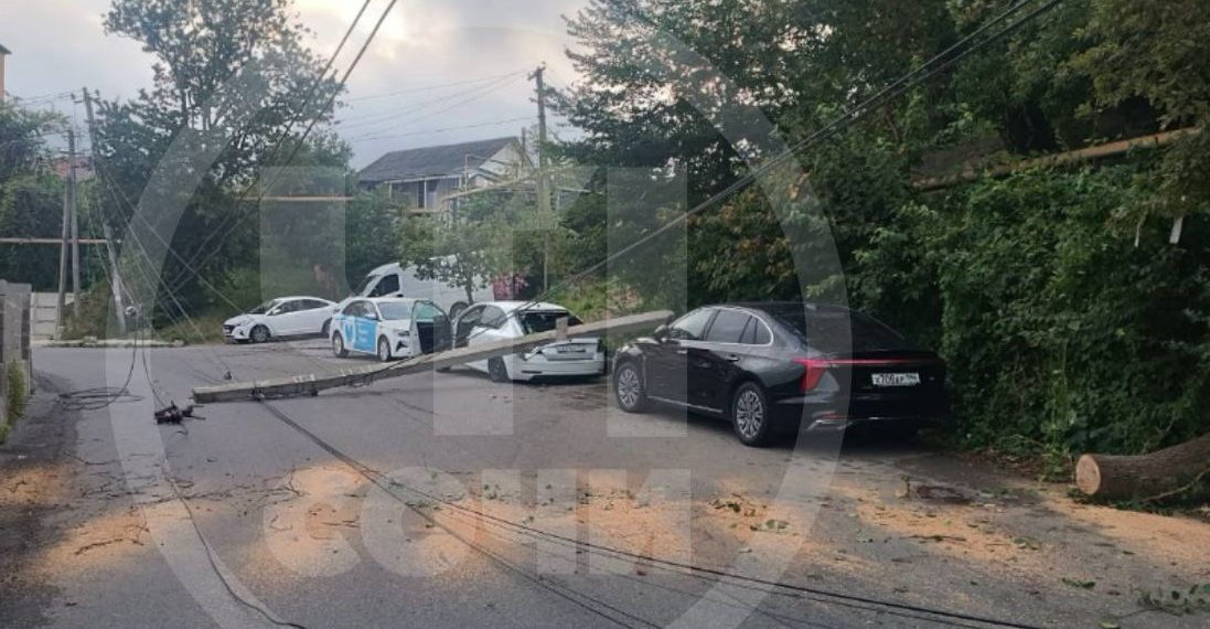 В Сочи упавшее дерево повалило столб на машину