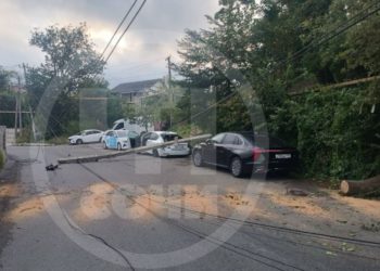 В Сочи упавшее дерево повалило столб на машину