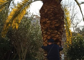 Метеорологи ошеломили прогнозом на начало августа в Краснодарском крае