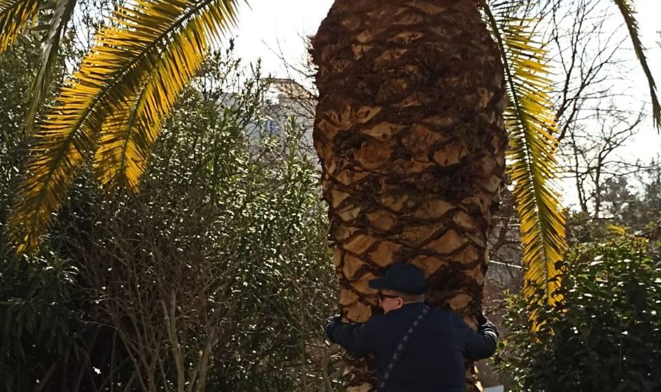 Метеорологи ошеломили прогнозом на начало августа в Краснодарском крае