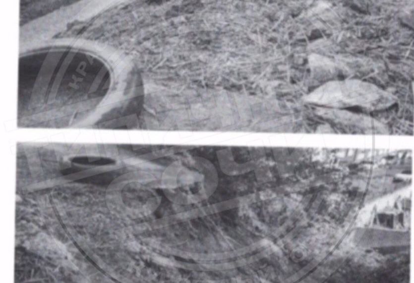 Оползень в Сочи изолировал от внешнего мира жителей СНТ «Ветеран»