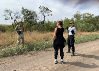 На Кубани в Гулькевичах прекратили поиски пропавшего 13-летнего подростка