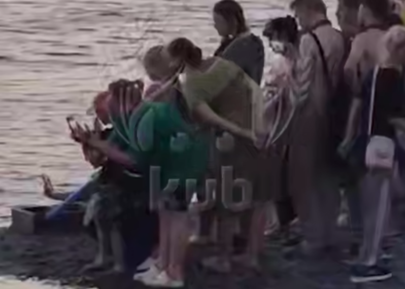 Нутрия из Новороссийска обрела собственных фанатов