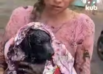 Волонтёры спасли щенка, провалившегося в мазутную лужу в Небуге