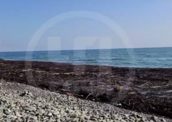 Туристы и коммунальщики вместе расчищают пляжи рядом с Сочи после шторма