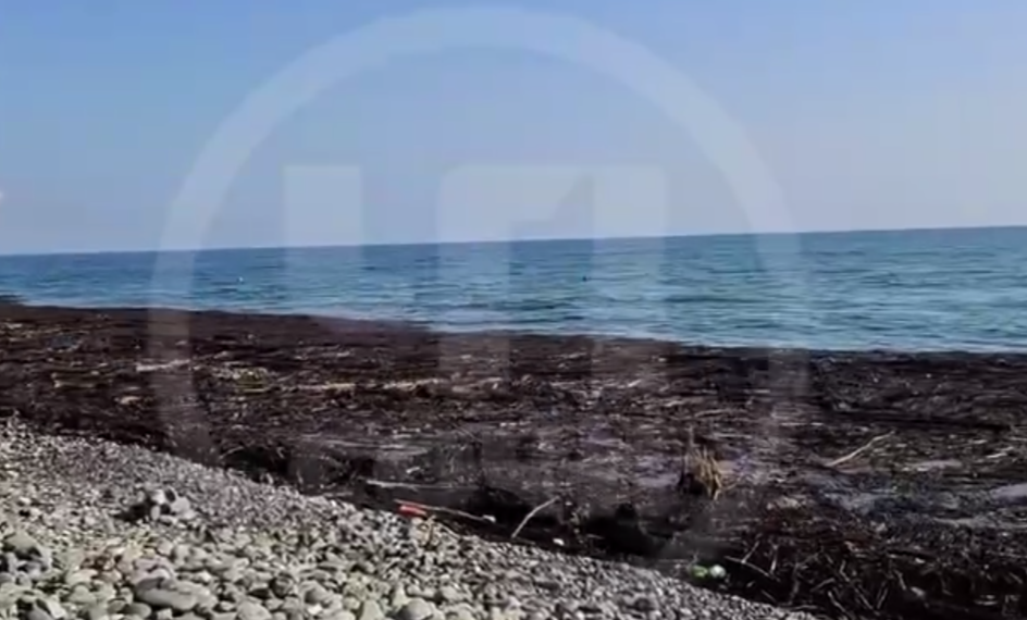 Туристы и коммунальщики вместе расчищают пляжи рядом с Сочи после шторма