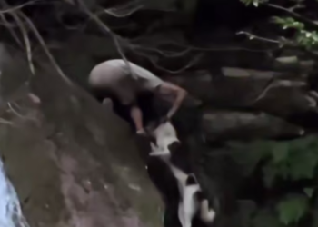 В Сочи парень спас собаку, застрявшую на водопаде Солох-Аул
