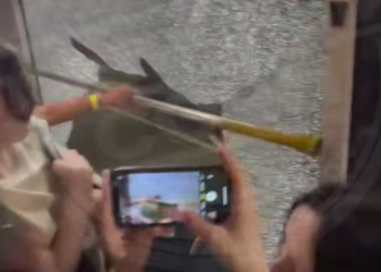 Пассажиры сочинской маршрутки пережили стресс после неожиданного инцидента