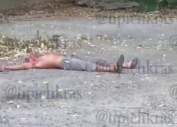 Отец защитил сына, отправив обидчика в нокаут в Краснодаре