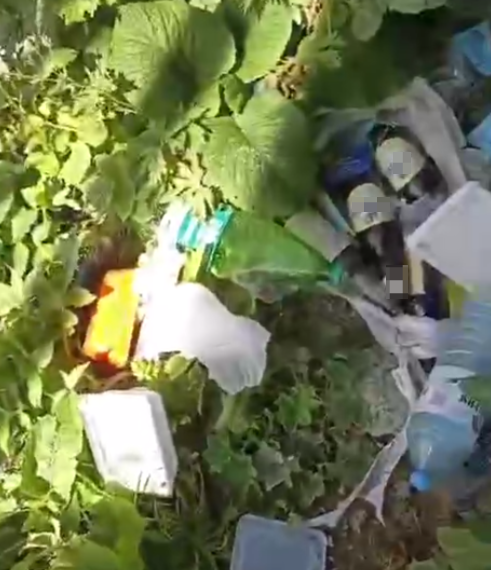 В Сочи склоны Аибги превращаются в свалку