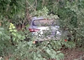 «Мазду» нашли: свернули поиски пропавшей женщины-дюймовочки на Кубани