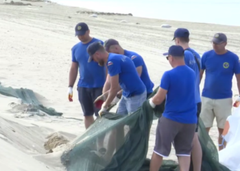 На Кубани приступили к уборке сетей после завершения работ по ликвидации мазута