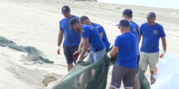 На Кубани приступили к уборке сетей после завершения работ по ликвидации мазута