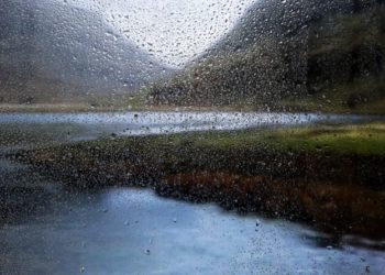 В Туапсинском районе наводнение затопило десятки домов и разрушило мосты