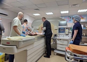 Покусанного хаски мальчика вернули домой, но скандал вокруг средств продолжается