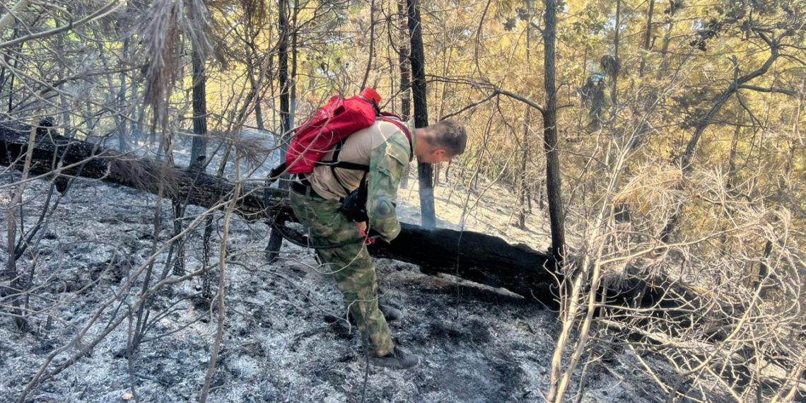 Спасатели ликвидировали лесной пожар в районе Голубой Бездны под Геленджиком