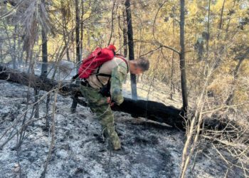 Спасатели ликвидировали лесной пожар в районе Голубой Бездны под Геленджиком