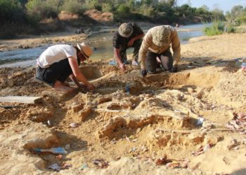 Останки молодого мамонта обнаружены на берегу реки Абин в Краснодарском крае