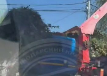 В Сочи пальма рухнула на кабину манипулятора