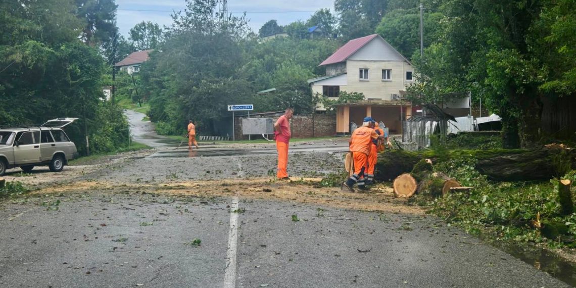 В Сочи выпало до 95 миллиметров осадков в ночь на 8 августа