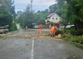 В Сочи выпало до 95 миллиметров осадков в ночь на 8 августа