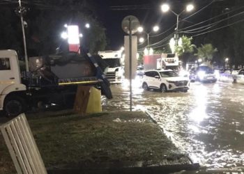 Прошунин: сильный ветер повалил 15 деревьев в Сочи