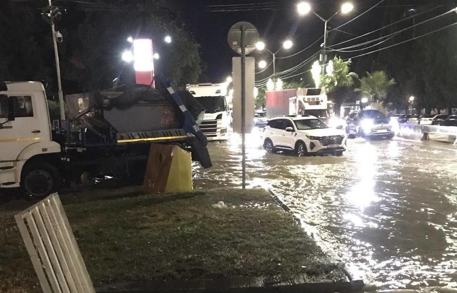 Прошунин: сильный ветер повалил 15 деревьев в Сочи