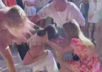Под Новороссийском три девушки устроили драку на фестивале