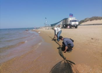 Глава Роспотребнадзора сделала важное заявление о качестве воды в Черном море