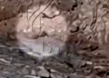 На Малом Фиштинском леднике турист едва избежал гибели в результате камнепада