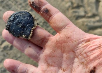 В Анапе туристам советуют носить бахилы на пляж из-за мазута