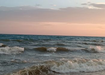 Вечером 25 августа над акваторией Черного моря уничтожено четыре дрона ВСУ