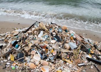 В Сочи на берегу моря появилась стихийная свалка