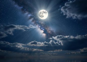 Плишкин: в «Сириусе» сохраняется угроза атаки БПЛА