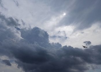 Поздно вечером 22 августа на Кубани объявили беспилотную опасность