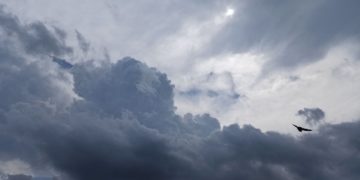 Поздно вечером 22 августа на Кубани объявили беспилотную опасность