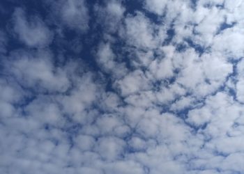 Минобороны: в небе над Кубанью ночью 7 августа уничтожено 9 дронов