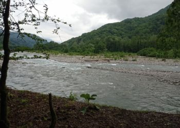 Синоптики опубликовали свежий прогноз на вторую половину августа для Кубани
