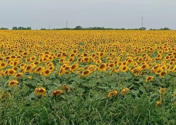 Синоптики обещают переменчивую погоду на Кубани во вторник и среду